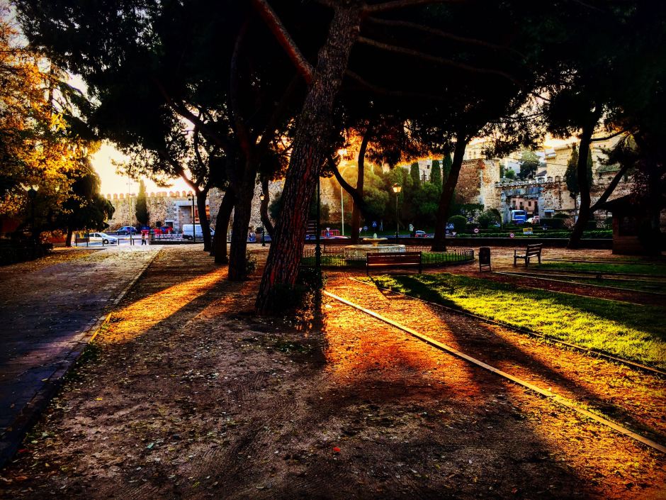 troncos-y-luz